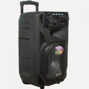 Ηχείο καραόκε Meirende MR-106 12 ιντσών - Image 4